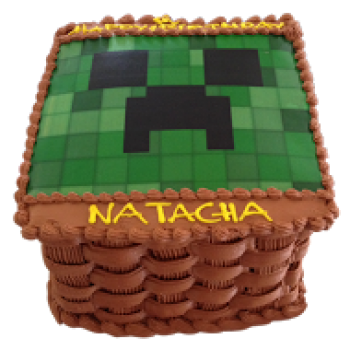 Mine Craft